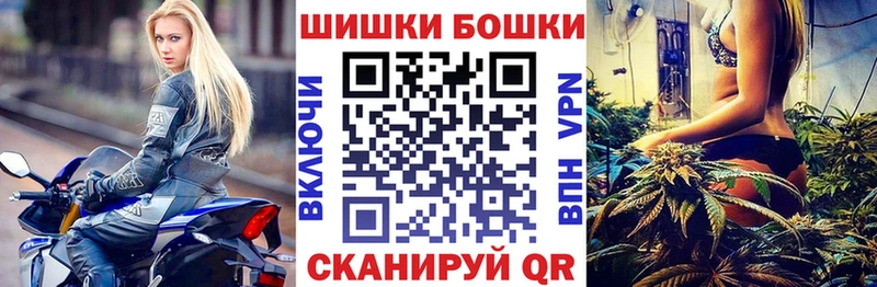 Конопля гибрид  Лаишево 
